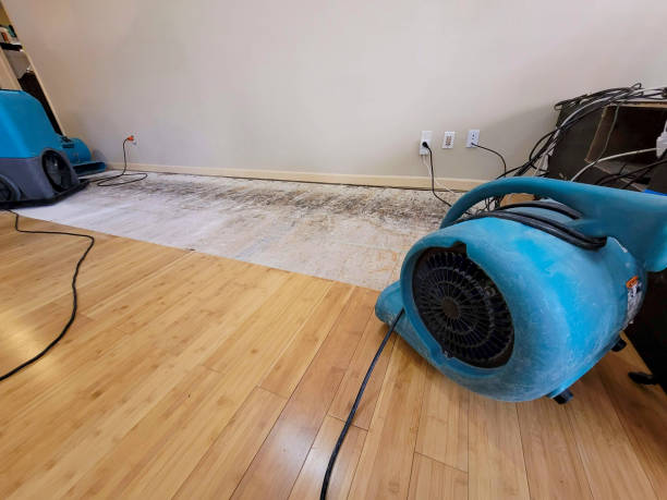 Professional Sewage Cleanup technician working in Leopolis, WI